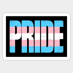 Transgender Pride Sticker